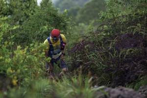 BIB: 
                            <button type="button" onclick="openModal(24760131)" class="btn btn-primary btn-sm float-right btn-popup" data-toggle="modal" data-target=".modal-high-quality">
                        <i class="fas fa-shopping-cart"></i> Add to Cart
                    </button>
                                            <button type="button" onclick="isThisMe(24760131, true)" class="btn btn-success btn-sm float-right btn-popup btn-isme hidden" data-toggle="tooltip" data-placement="bottom" title="นี่คือรูปของคุณใช่ไหม คลิกที่นี่เพื่อเอาเข้าอัลบั้ม">
                        <i class="fas fa-plus"></i> Add to album
                    </button>
                    <button type="button" onclick="isThisMe(24760131, false)" class="btn btn-warning btn-sm float-right btn-popup btn-isnotme hidden">
                        <i class="fas fa-ban"></i> Remove from album
                    </button>